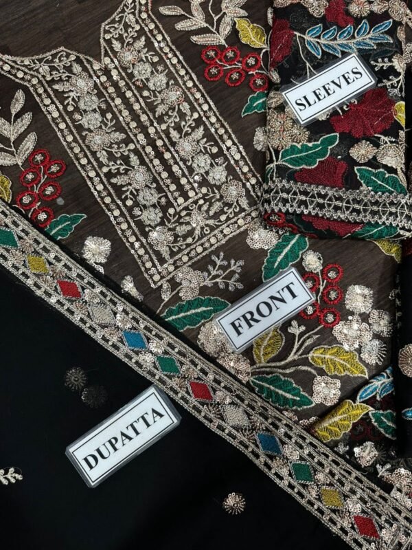 Rang Rasiya Chiffon Hit Article