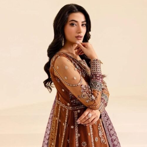 Farsha's Party Wear Maxi