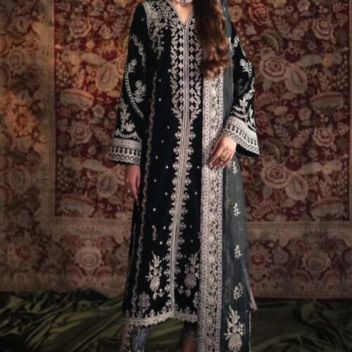 Qalamkar Velvet Embroidered Party Wear
