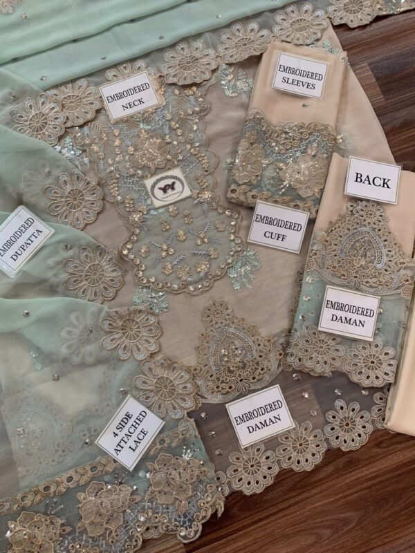 Elegant Party Wear Article