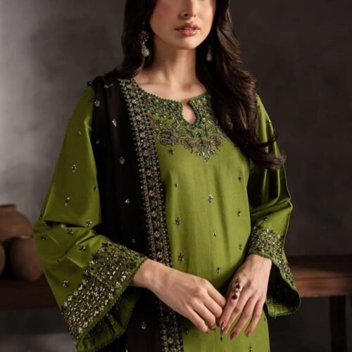 Aneela's Winter Fabric Dhanak