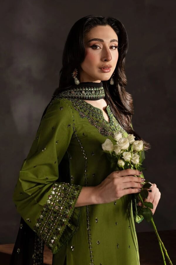 2025/11/1000672265.jpg Aneela's Winter Fabric Dhanak