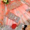 Kashee's Bridal Party Wear Article