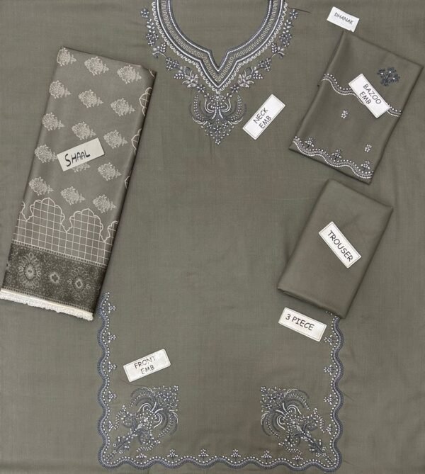 CoCo Zara Dhanak Winter Article