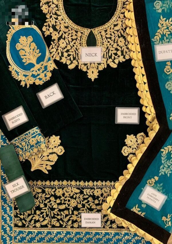 Zainab Chottani Velvet Article