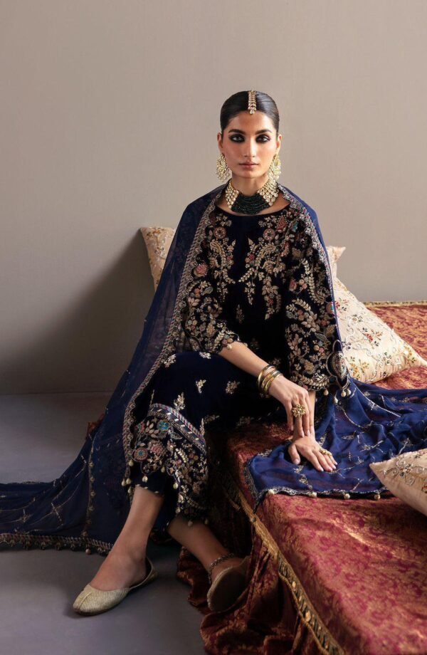 Emaan Adeel Luxury Velvet Article