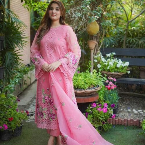 Aneelas Soft Colour Organza Article