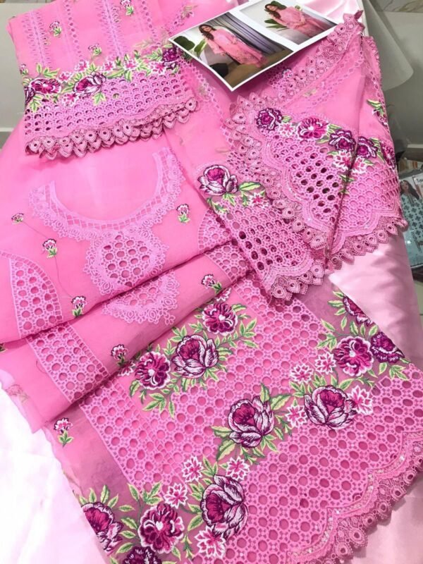 2025/12/1000827055.jpg Aneelas Soft Colour Organza Article