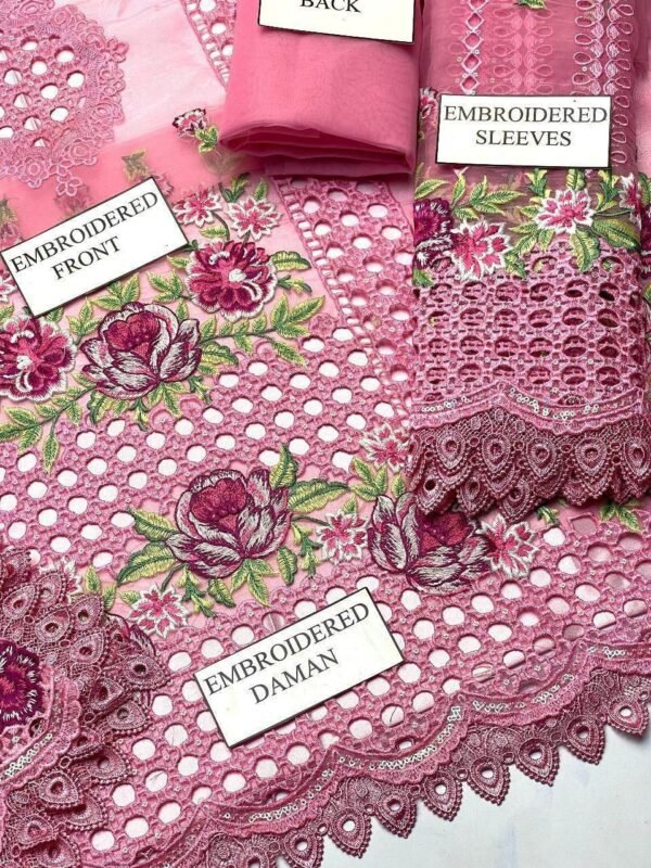 2025/12/1000827060.jpg Aneelas Soft Colour Organza Article