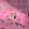 2025/12/1000827061.jpg Aneelas Soft Colour Organza Article