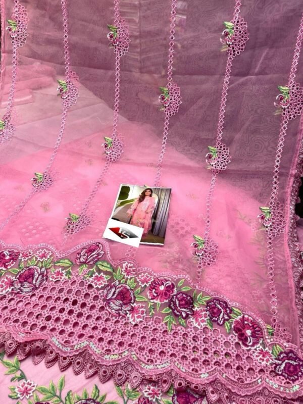 2025/12/1000827061.jpg Aneelas Soft Colour Organza Article