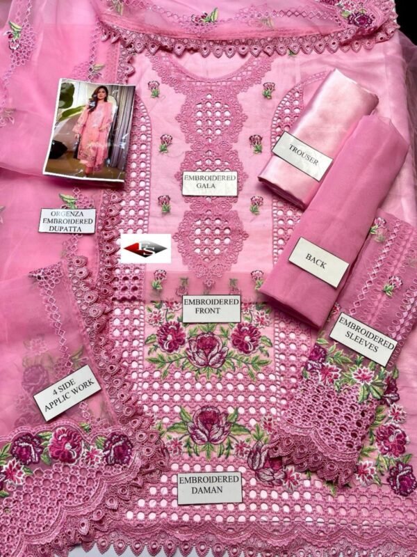 2025/12/1000827065.jpg Aneelas Soft Colour Organza Article